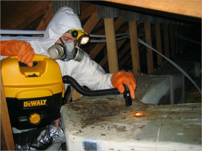 Exterminator Service Start Up Sample Business Plan!
