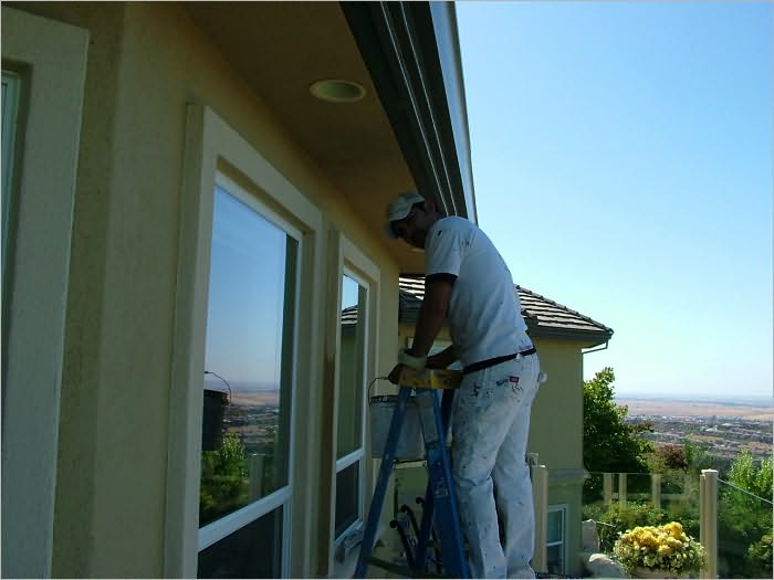 Painter Painting Service Start Up Sample Business Plan!