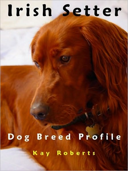 Irish Setter Dog Breed Profile