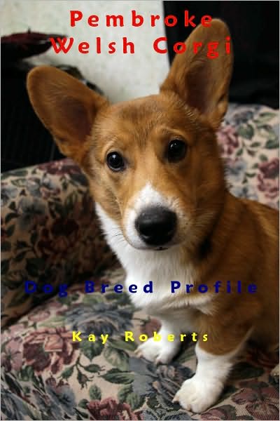 Pembroke Welsh Corgi Dog Breed Profile