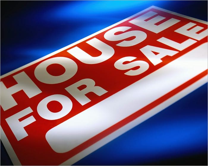 Real Estate Investor Start Up Sample Business Plan!