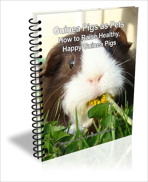 Guinea Pigs as Pets; How to Raise Healthy, Happy Guinea Pigs
