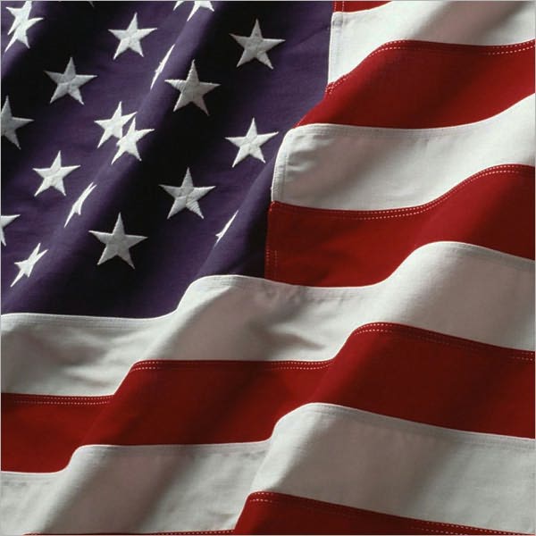 The Declaration of Independence
