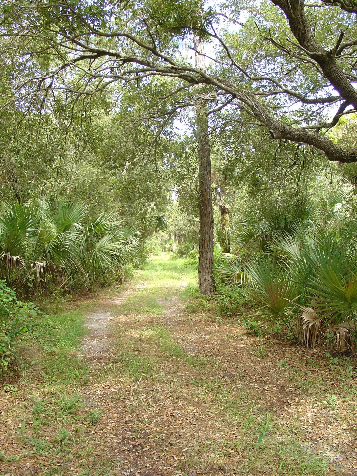 William's Sojurne At Elves rest