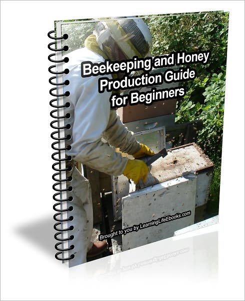 Beekeeping and Honey Production Guide for Beginners
