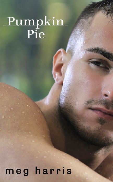 Pumpkin Pie (An erotic/erotica romance)