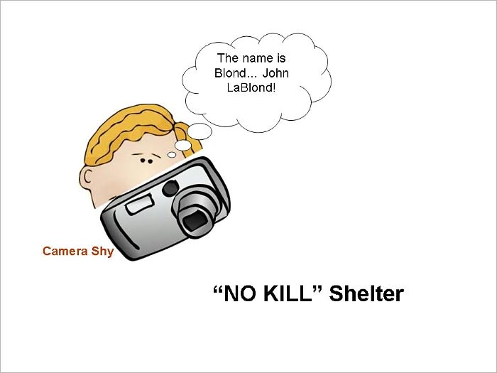 No Kill Shelter
