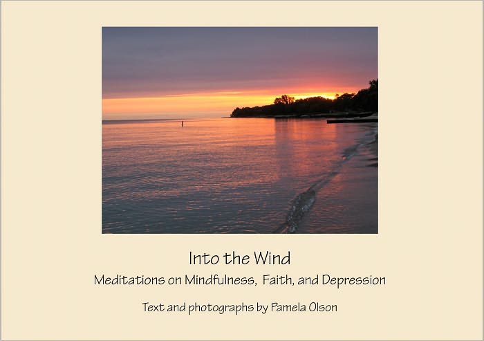 Into the Wind: Meditations on Mindfulness, Faith, and Depression
