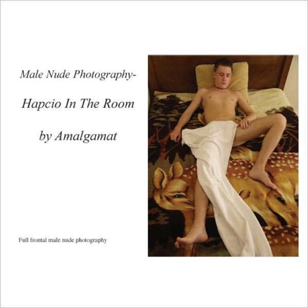 Male Nude Photography- Poland- Hapcio In The Room