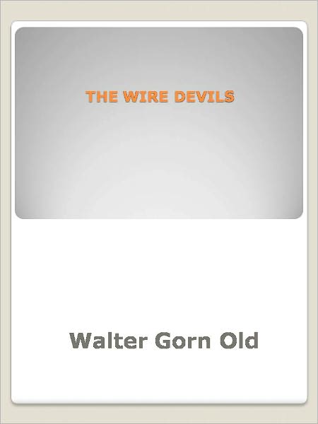 THE WIRE DEVILS