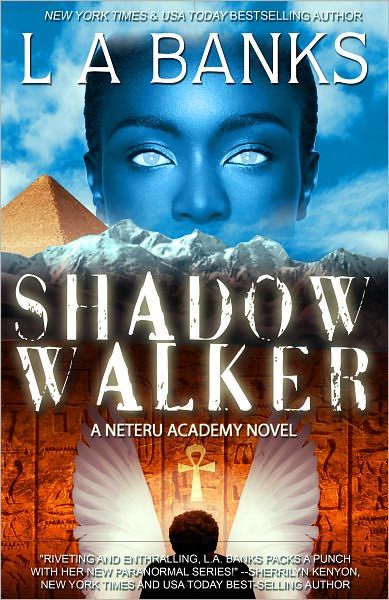Shadow Walker (Neteru Academy Series #1)