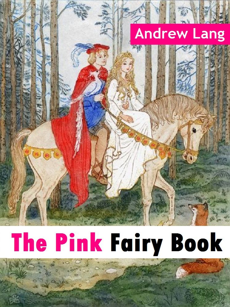 The Pink Fairy Book