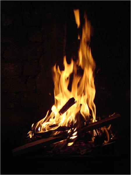 Harry Potter and the Goblet of Fire: A literary analysis