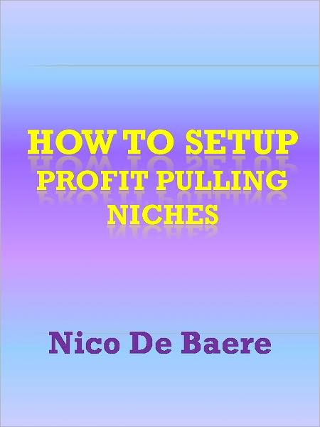 How To Setup Profit Pulling Niches