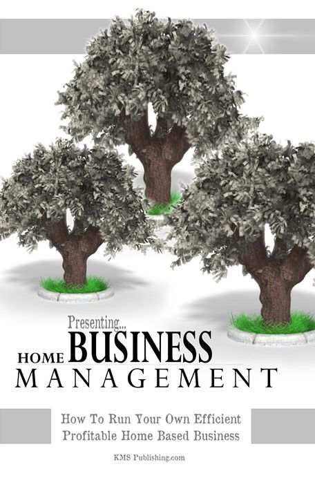 Home Business Management: How To Run Your Own Efficient Profitable Home Based Business