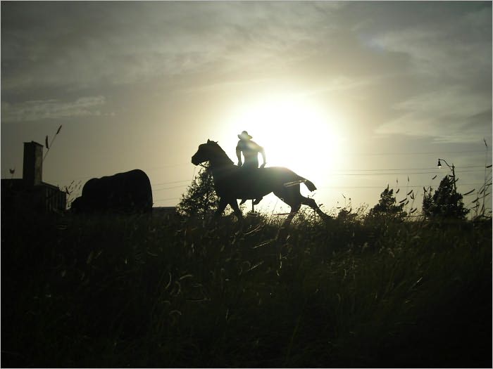 True Grit: A Novel