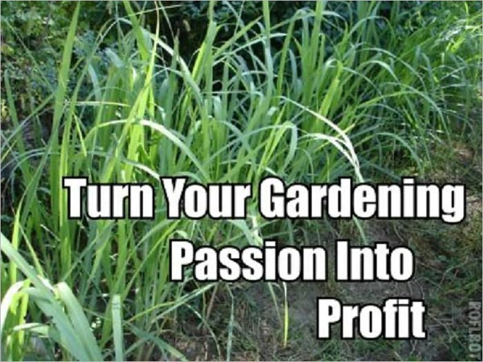 How To make Money From Your garden