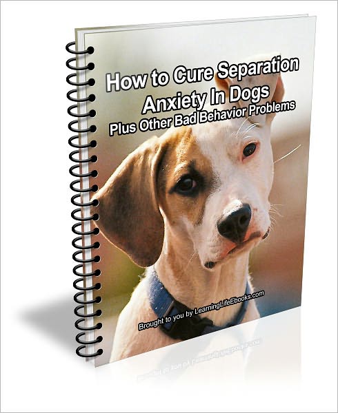 How to Cure Separation Anxiety in Dogs Plus Other Bad Behavior Problems