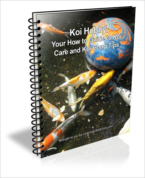 Koi Hobby: Your How to Guide to Koi Care and Koi Pond Tips
