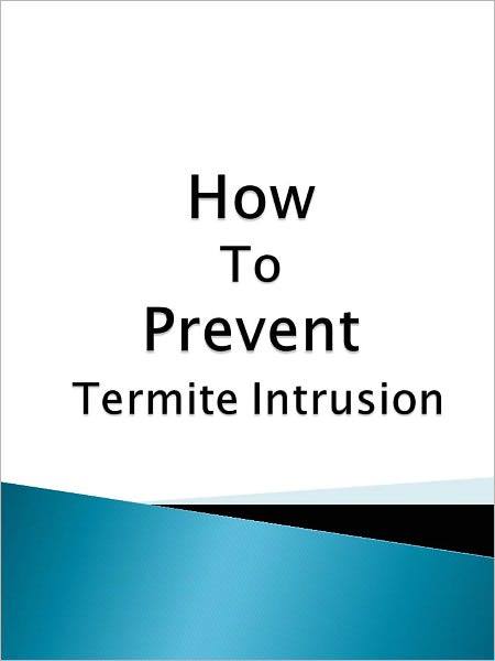 How To Prevent Termite Intrusion
