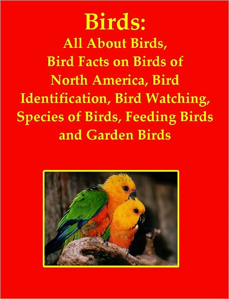 Birds: All About Birds, Bird Facts on Birds of North America, Bird Identification, Bird Watching, Species of Birds, Feeding Birds and Garden Birds