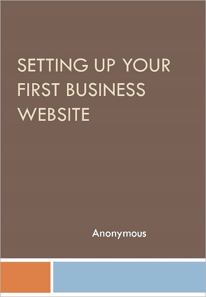 Setting Up Your First Business Website