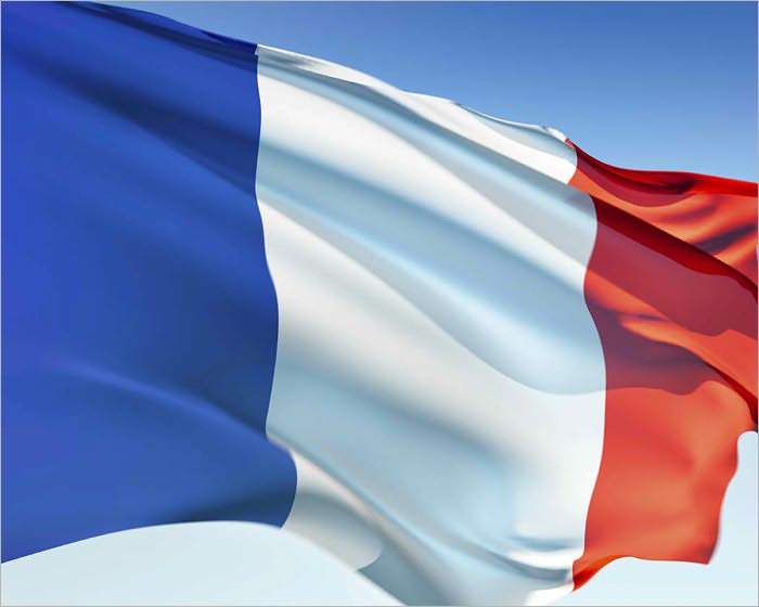Learn a Language:Basic French