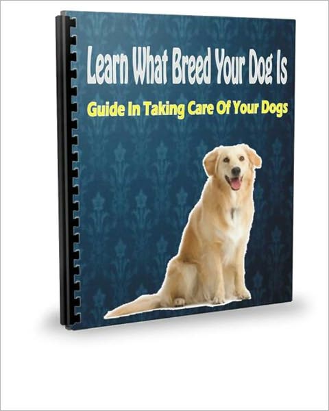 How’s Your Dog’s Diet? Learn To Take Charge of Your Dog’s Diet