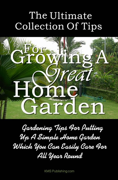The Ultimate Collection Of Tips For Growing A Great Home Garden: Gardening Tips For Putting Up A Simple Home Garden Which You Can Easily Care For All Year Round