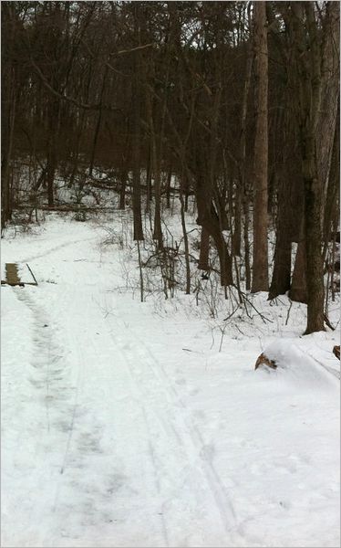 In The Snow
