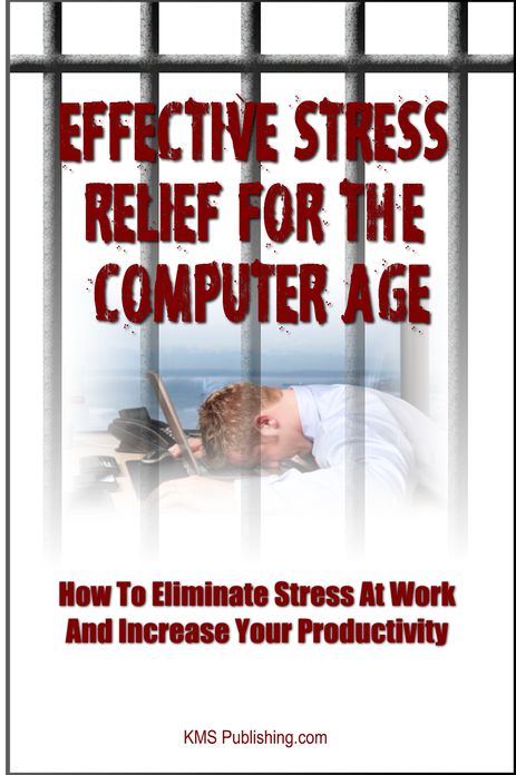 Effective Stress Relief For The Computer Age: How to Eliminate Stress at Work and Increase Your Productivity Through Proper Stress Management