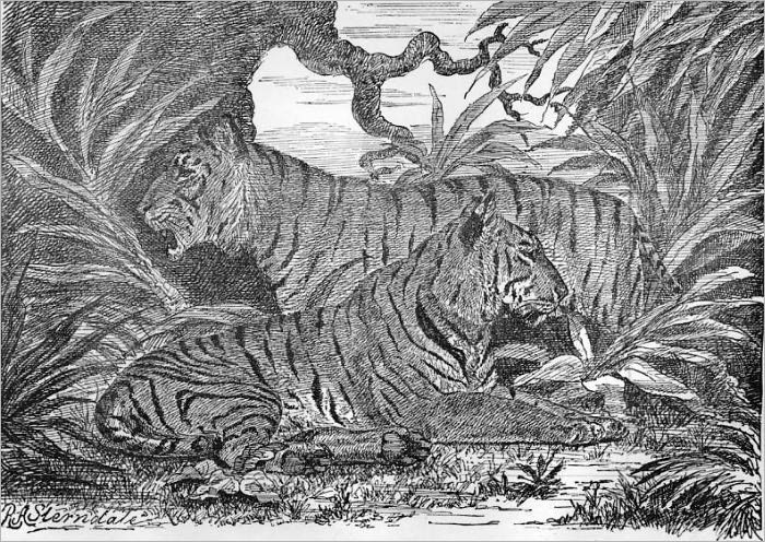 Natural History of the Mammalia of India and Ceylon