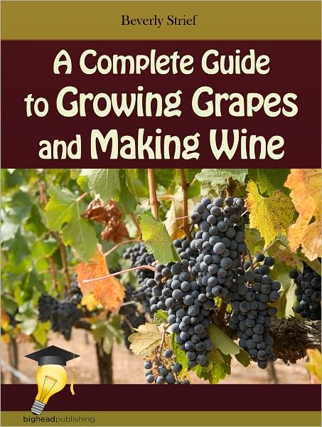 A Complete Guide to Growing Grapes and Making Wine