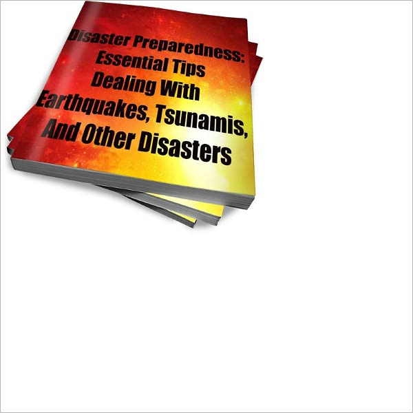 Disaster Preparedness: Essential Tips Dealing With Earthquakes, Tsunamis, And Other Disasters