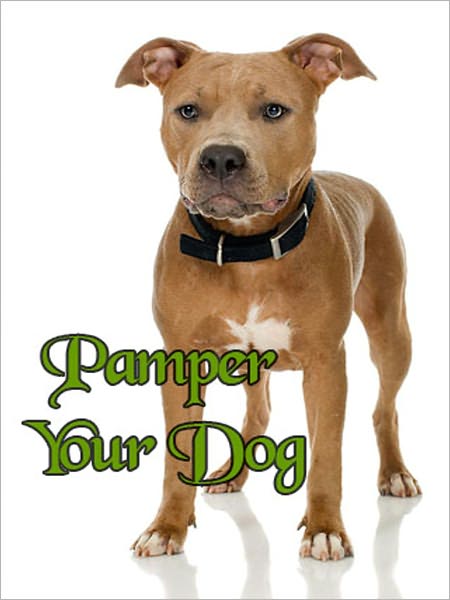 Pamper Your Dog
