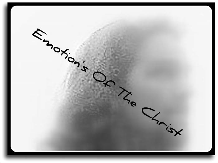 Emotions Of The Christ