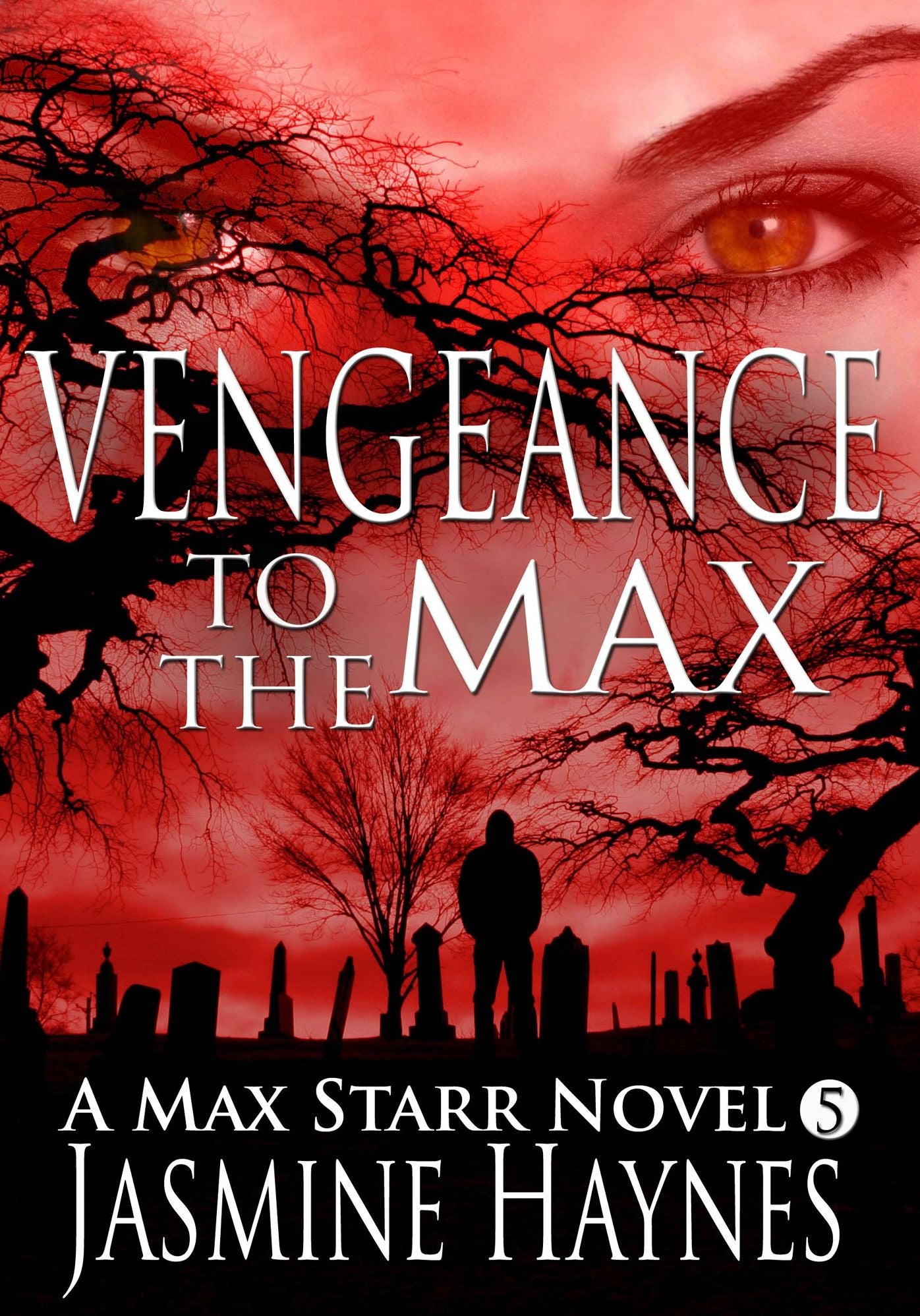 Vengeance to the Max (Max Starr Series, Book 5, a paranormal mystery/romance)