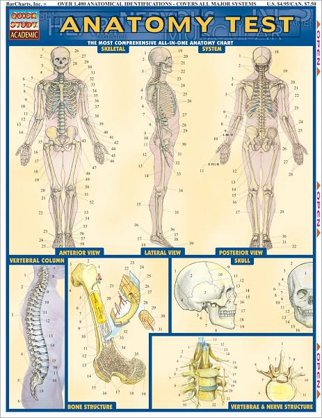 Anatomy Test
