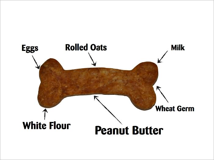 Dog Snack, Biscuit, Treat Recipe Ebook!
