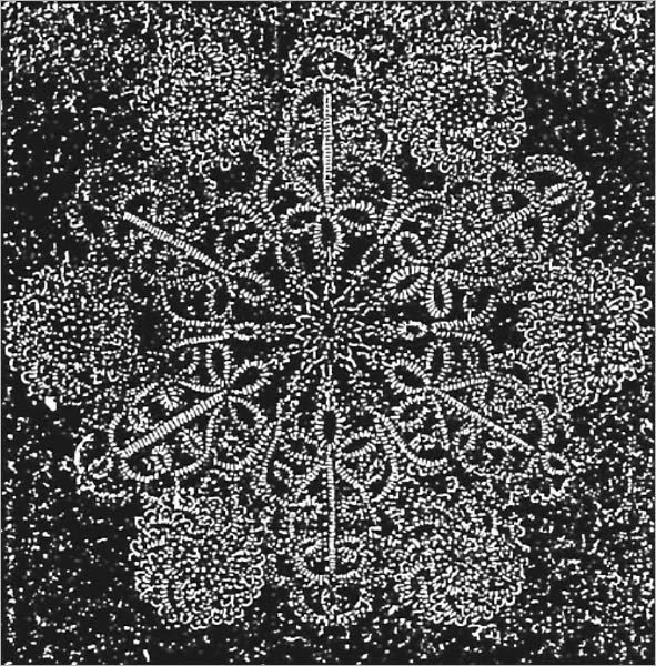 The Bath Tatting Book