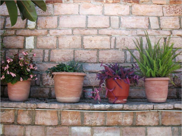 GARDENING INDOORS AND UNDER GLASS