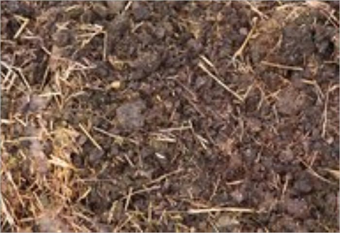 Organic Gardener's Composting