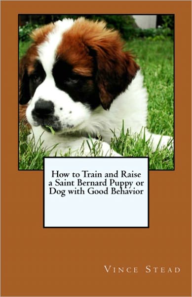 How to Train and Raise a Saint Bernard Puppy or Dog with Good Behavior