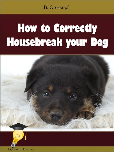 How to Correctly Housebreak your Dog