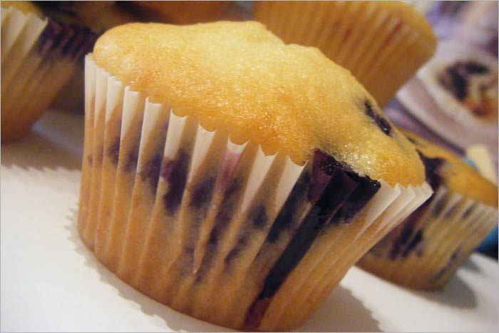 Gourmet Muffin Bakery Start Up Sample Business Plan!
