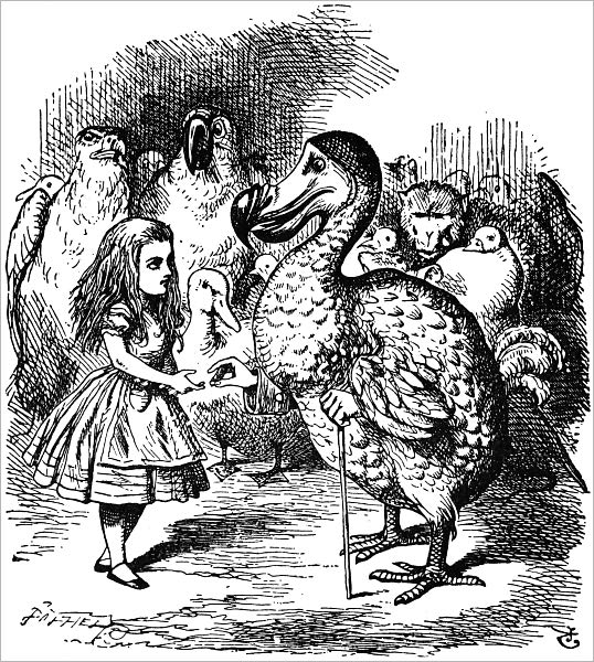 Curious Creatures (Illustrated)