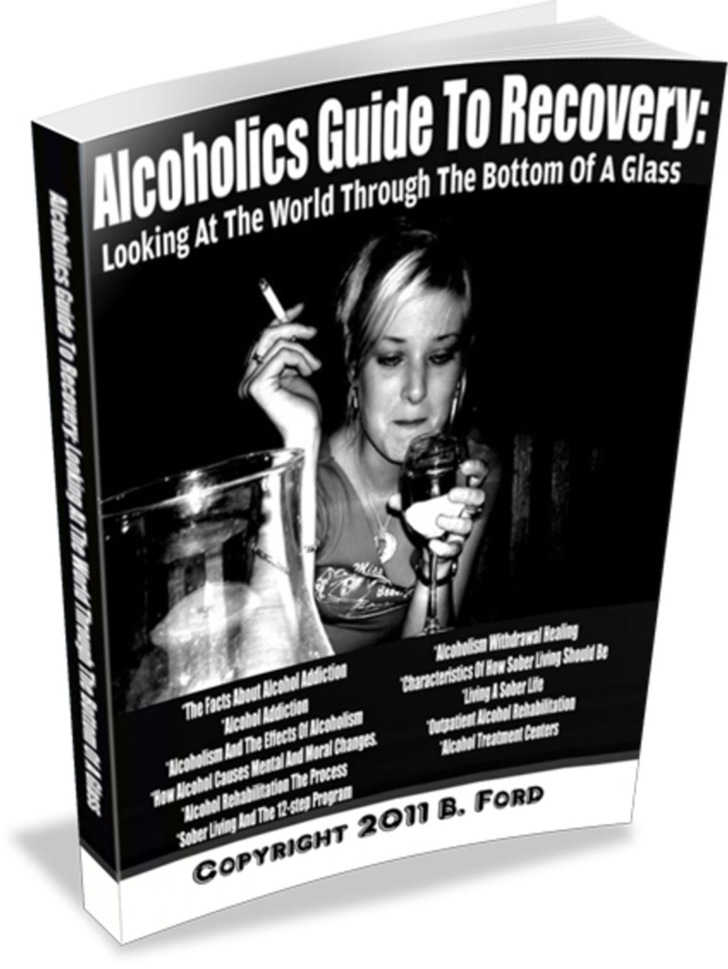 Alcoholics Guide To Recovery: Looking At The World Through The Bottom Of A Glass