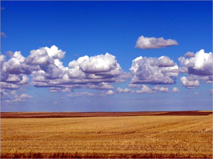 Flatland