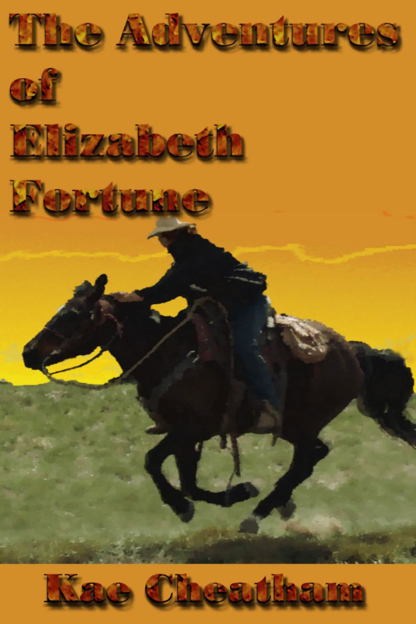 The Adventures of Elizabeth Fortune