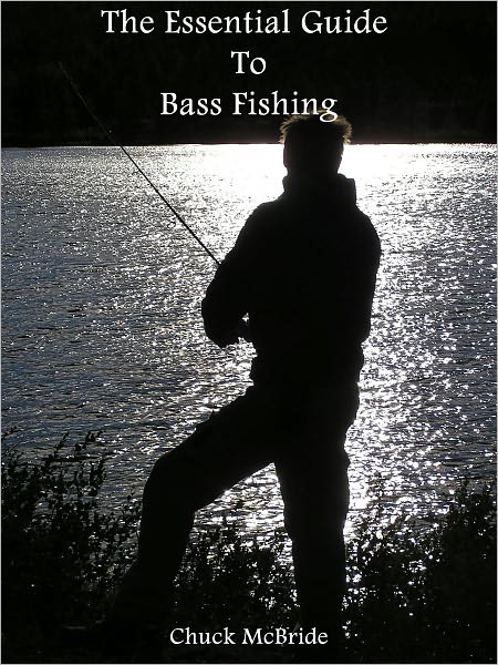 The Essential Guide To Bass Fishing